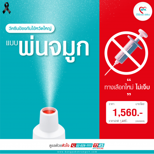 วัคซีนป้องกันไข้หวัดใหญ่แบบพ่นจมูก